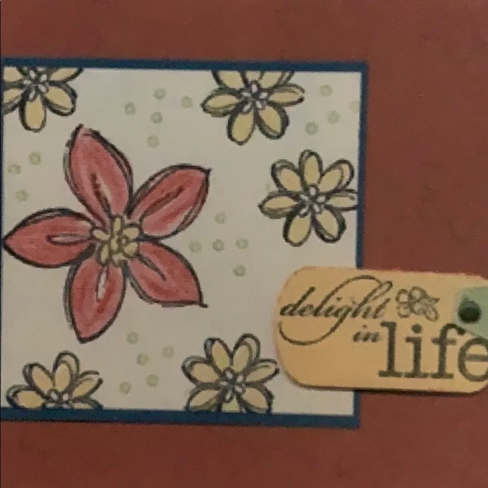 🎭 3/$25 - Stampin Up! Delight in Life hostess set